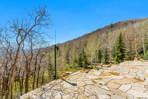 View of mountain backdrop featuring a forest