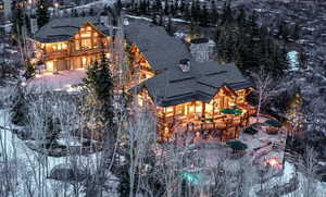 Snowy aerial view with view of scattered trees