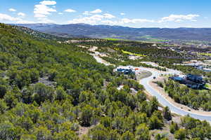 Aerial view of a mountain backdrop and a heavily wooded area