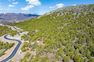 Bird's eye view of a mountain backdrop and a forest