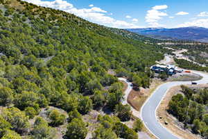 Bird's eye view of a heavily wooded area and mountains