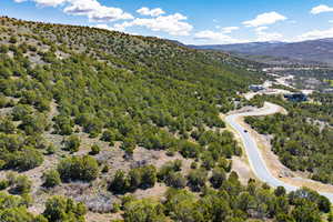 Bird's eye view of a mountainous background and a forest