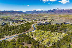 Aerial overview of property's location with a mountain backdrop and property parcel outlined