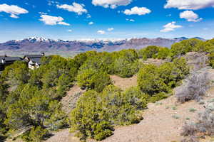 View of mountain background