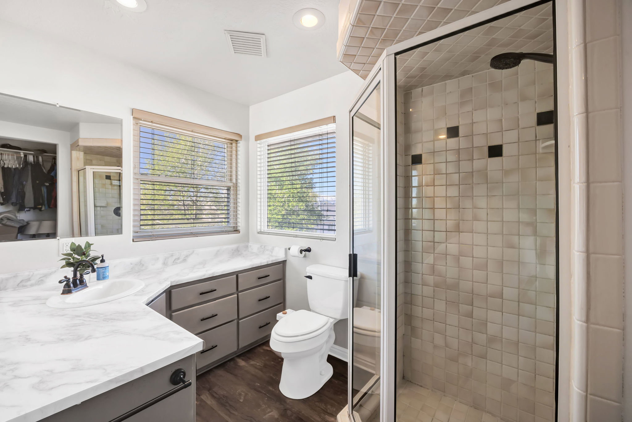 Primary Bathroom with vanity, a shower stall, dark wood-style flooring, a walk in closet, and recessed lighting