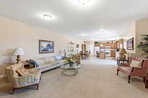 Living area with light colored carpet and a textured ceiling