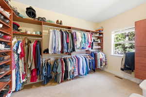 Walk in closet with light carpet