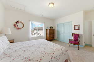 Bedroom with a closet and light carpet