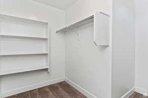 Walk in closet with dark colored carpet