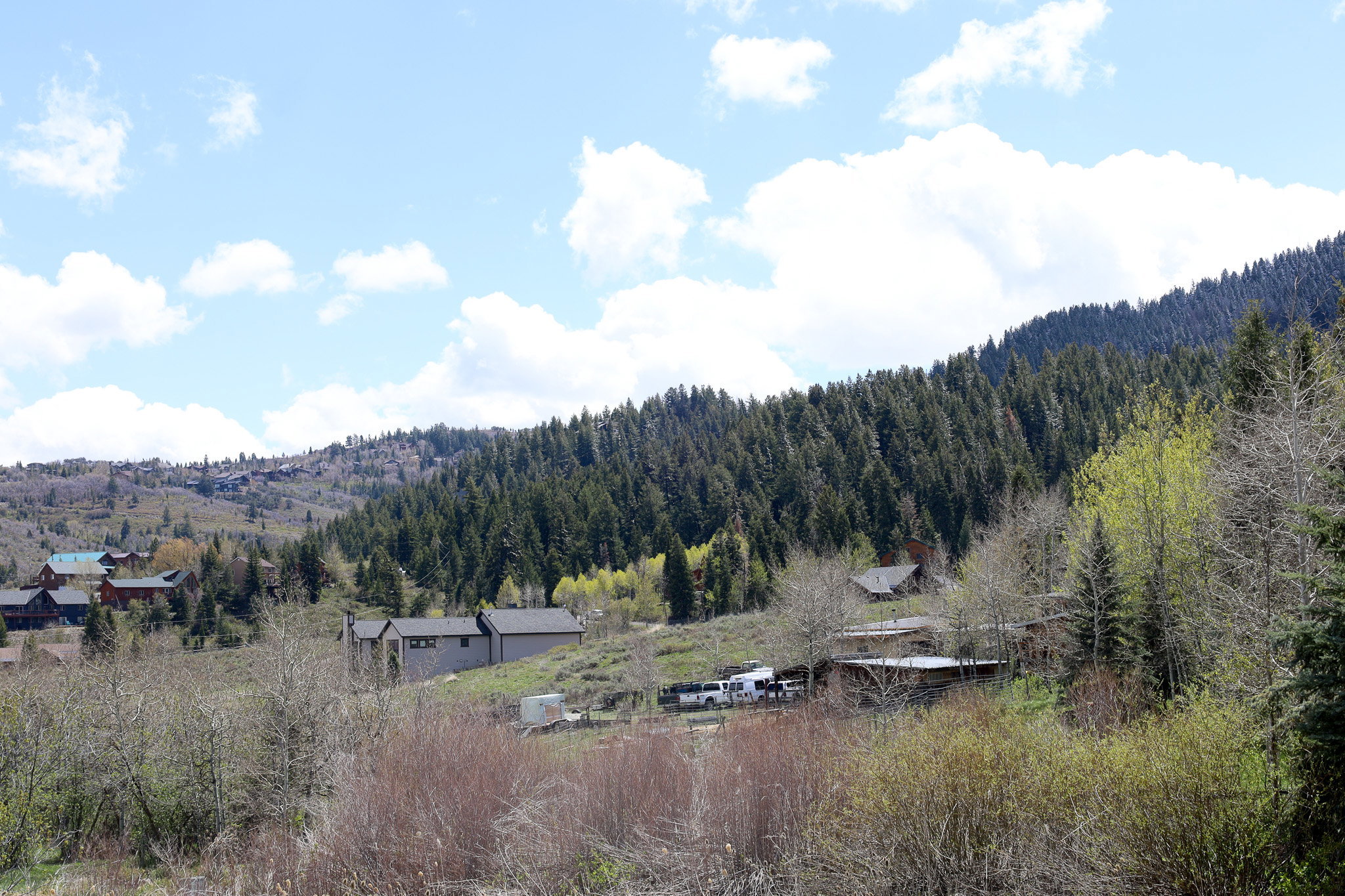 View of mountain backdrop with a forest and rural landscape