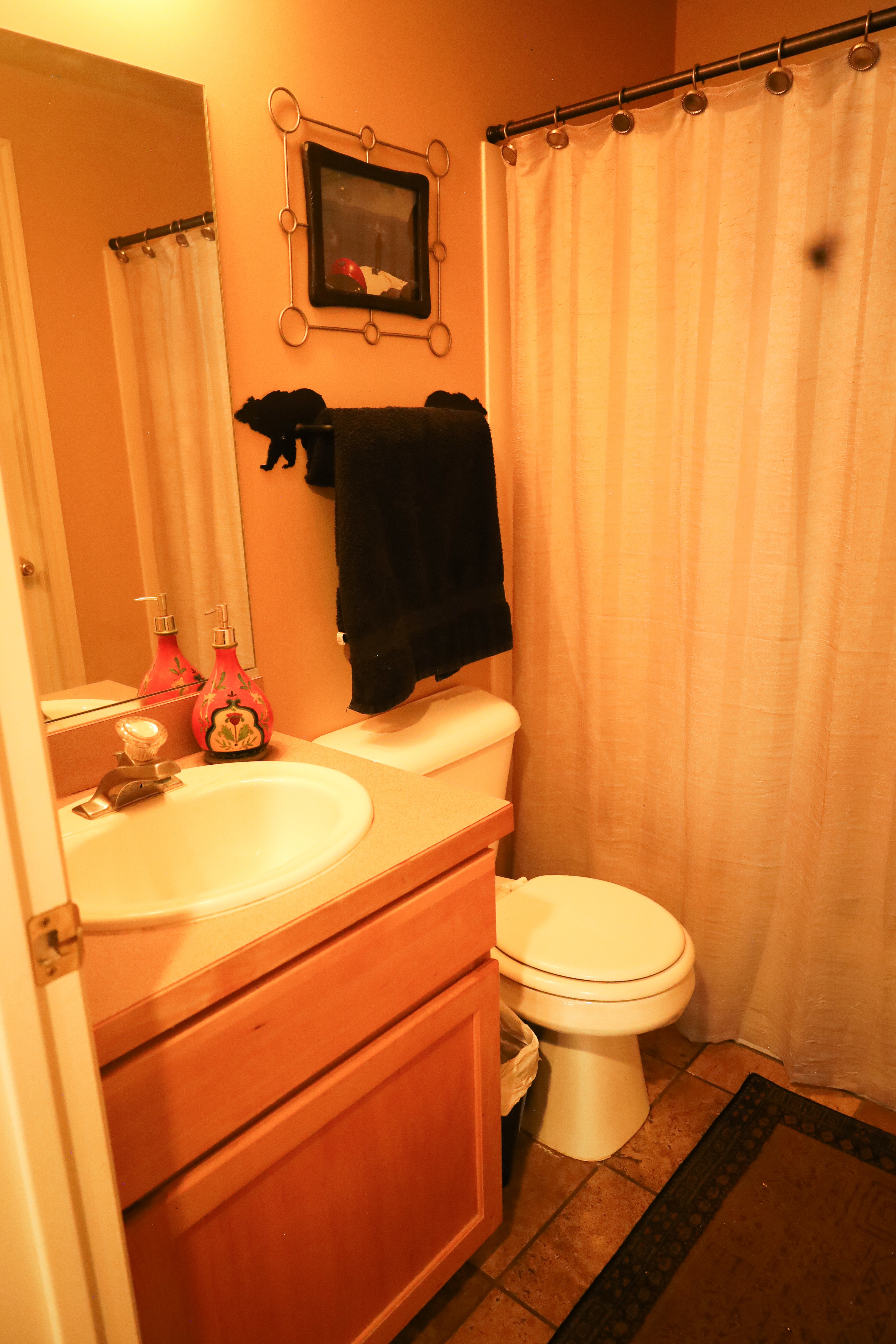 Full bath with vanity and curtained shower