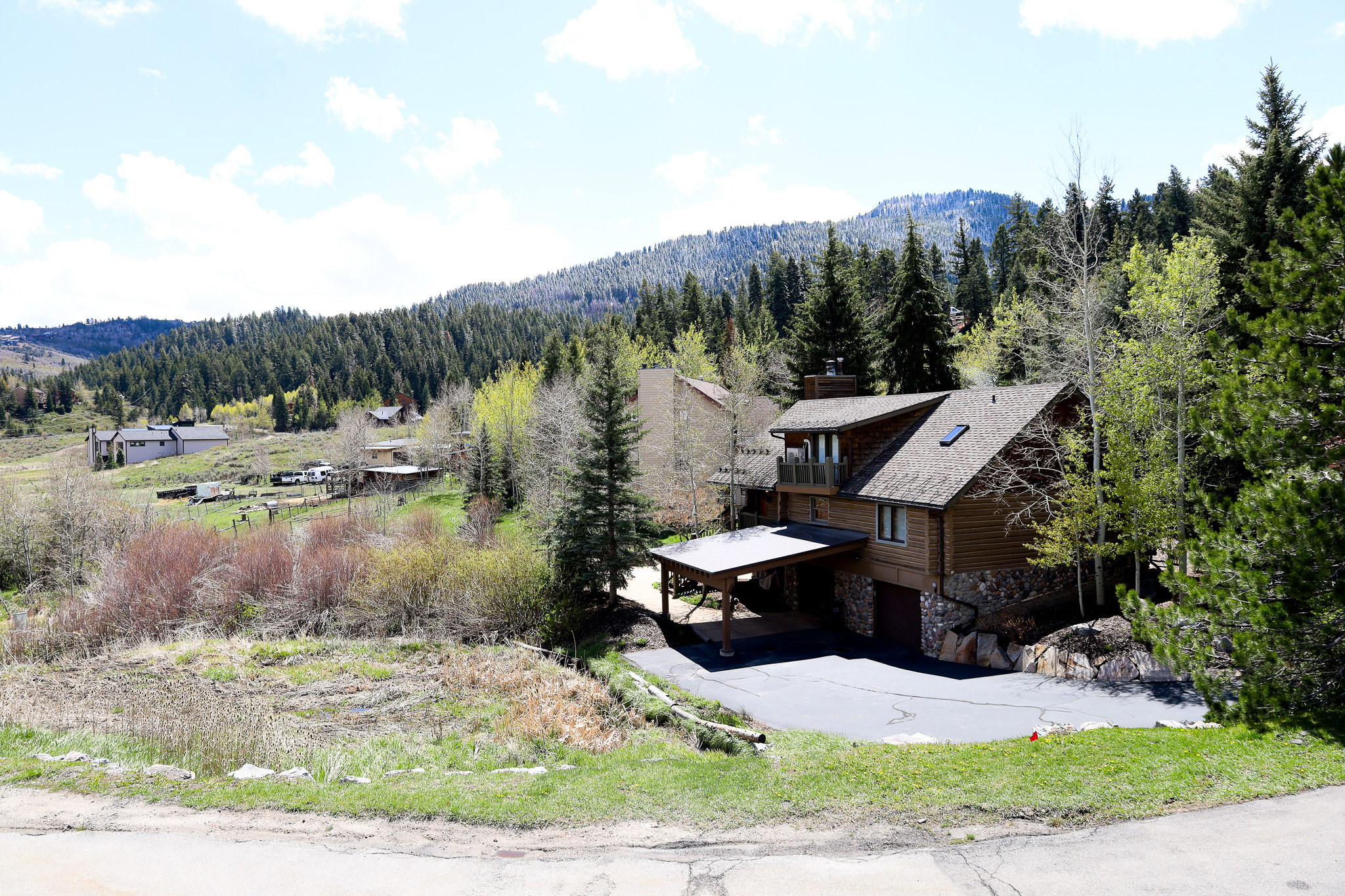 View of mountain background featuring a heavily wooded area