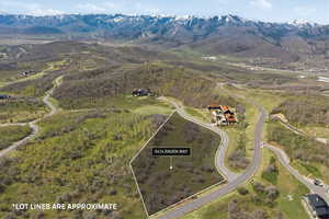 Aerial view of property's location with property boundaries highlighted and mountains