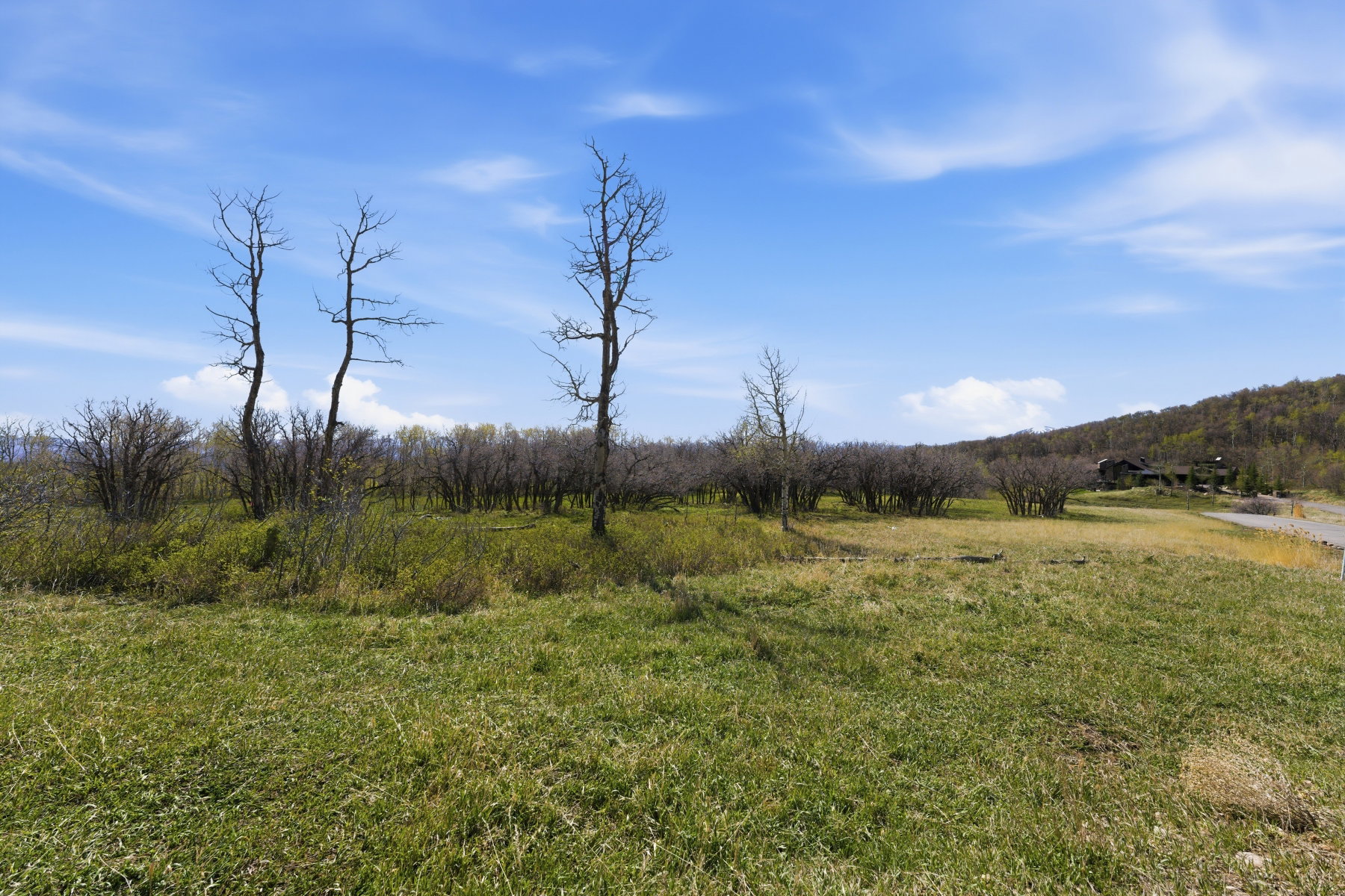 View of undeveloped land with rural landscape