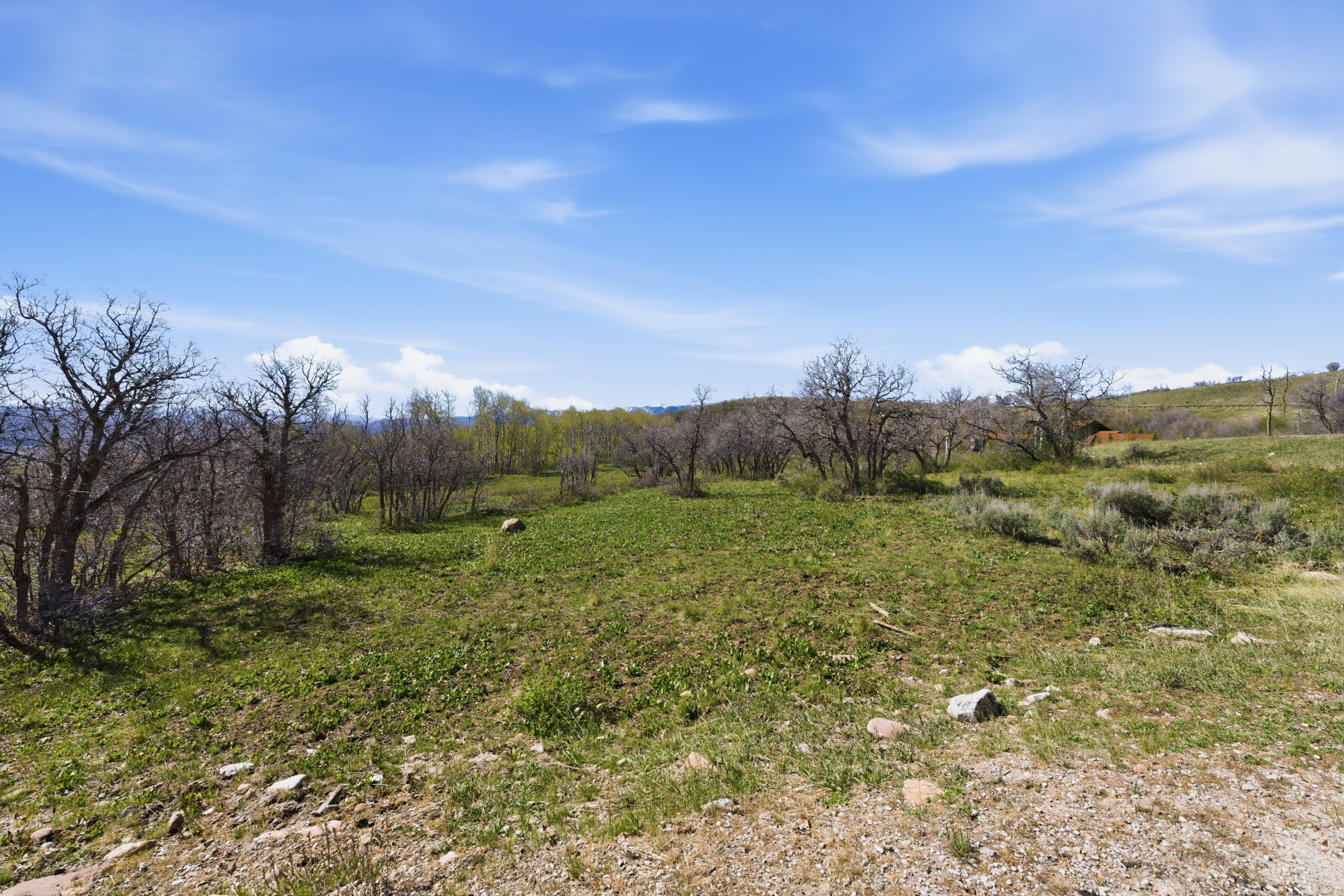 View of yard featuring a view of rural / pastoral area