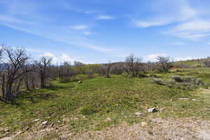 View of yard featuring a view of rural / pastoral area