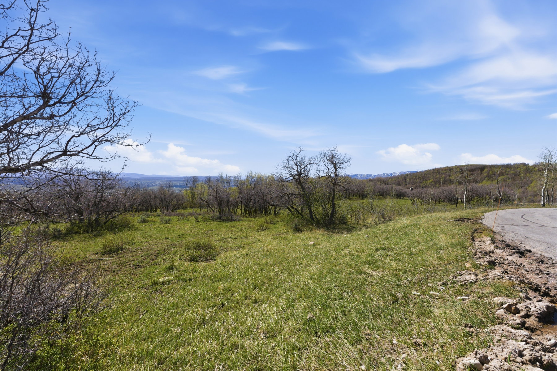 View of mountain background with rural landscape