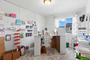 Office space with light colored carpet and a textured ceiling
