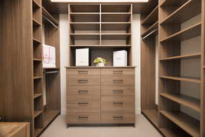 Walk in closet with light carpet