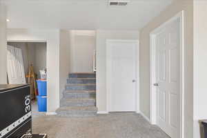 Stairway with carpet and baseboards