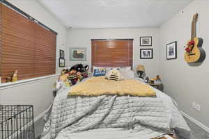 Bedroom with a textured wall, carpet flooring, and a textured ceiling