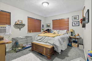 Bedroom featuring a textured wall, carpet, a textured ceiling, and cooling unit
