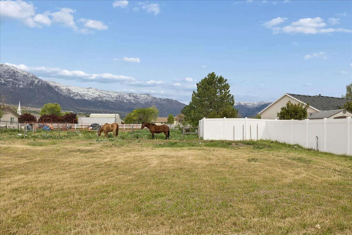View of yard with a mountain view and a view of rural / pastoral area