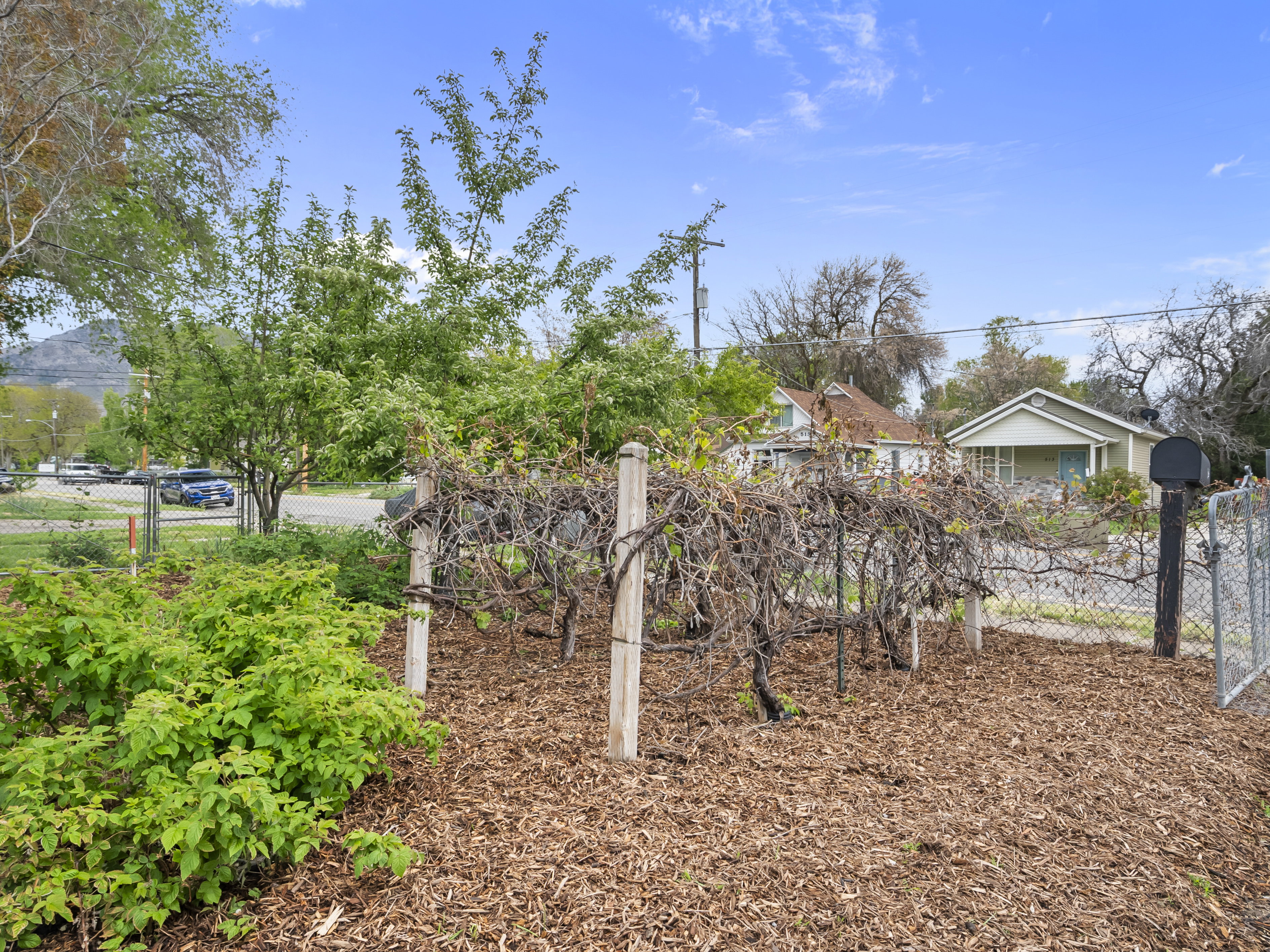 View of yard featuring a gate