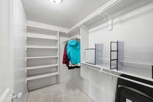 Walk in closet with light colored carpet