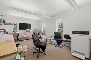 Home office featuring light colored carpet and a textured ceiling