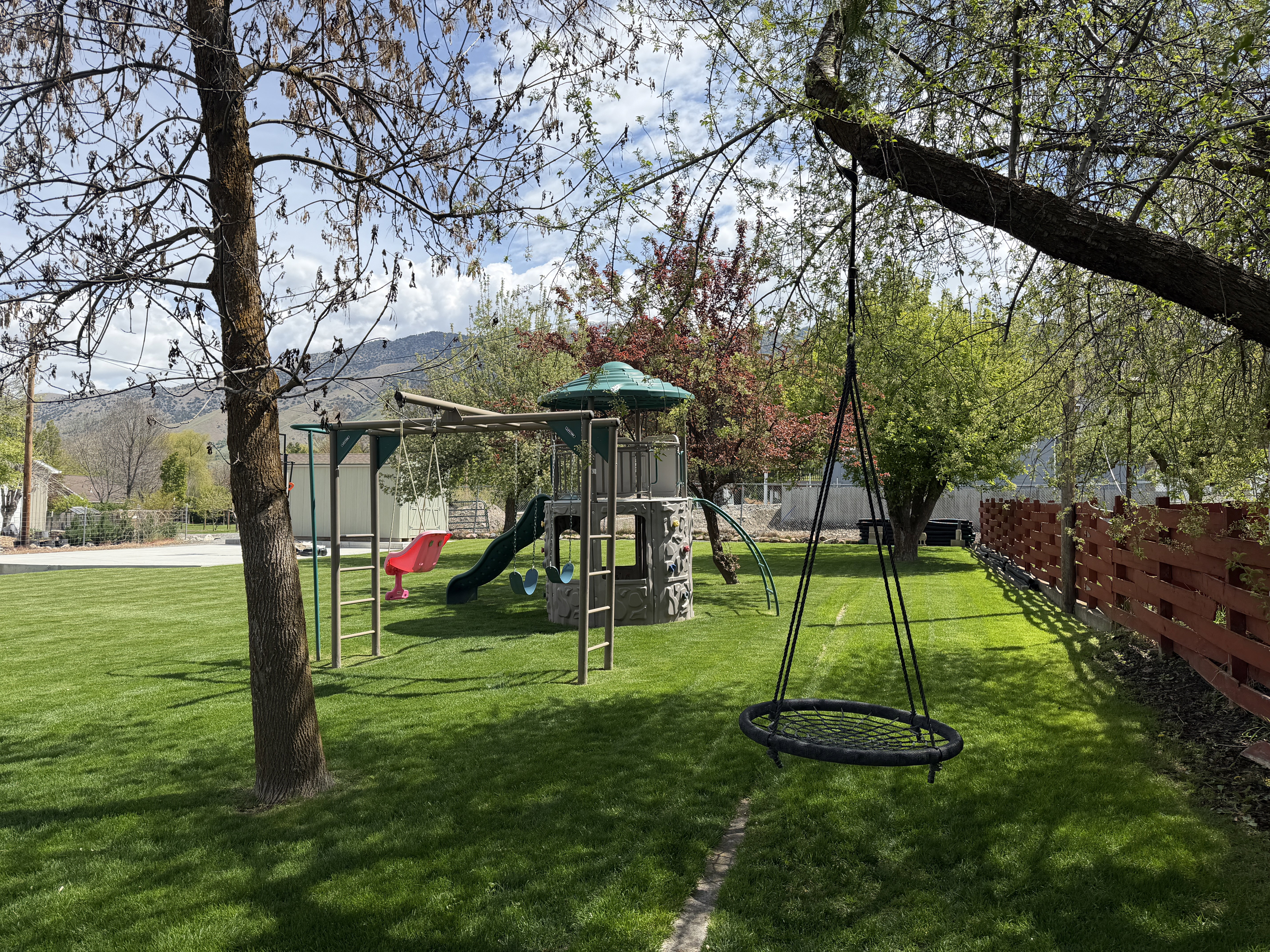 Backyard
