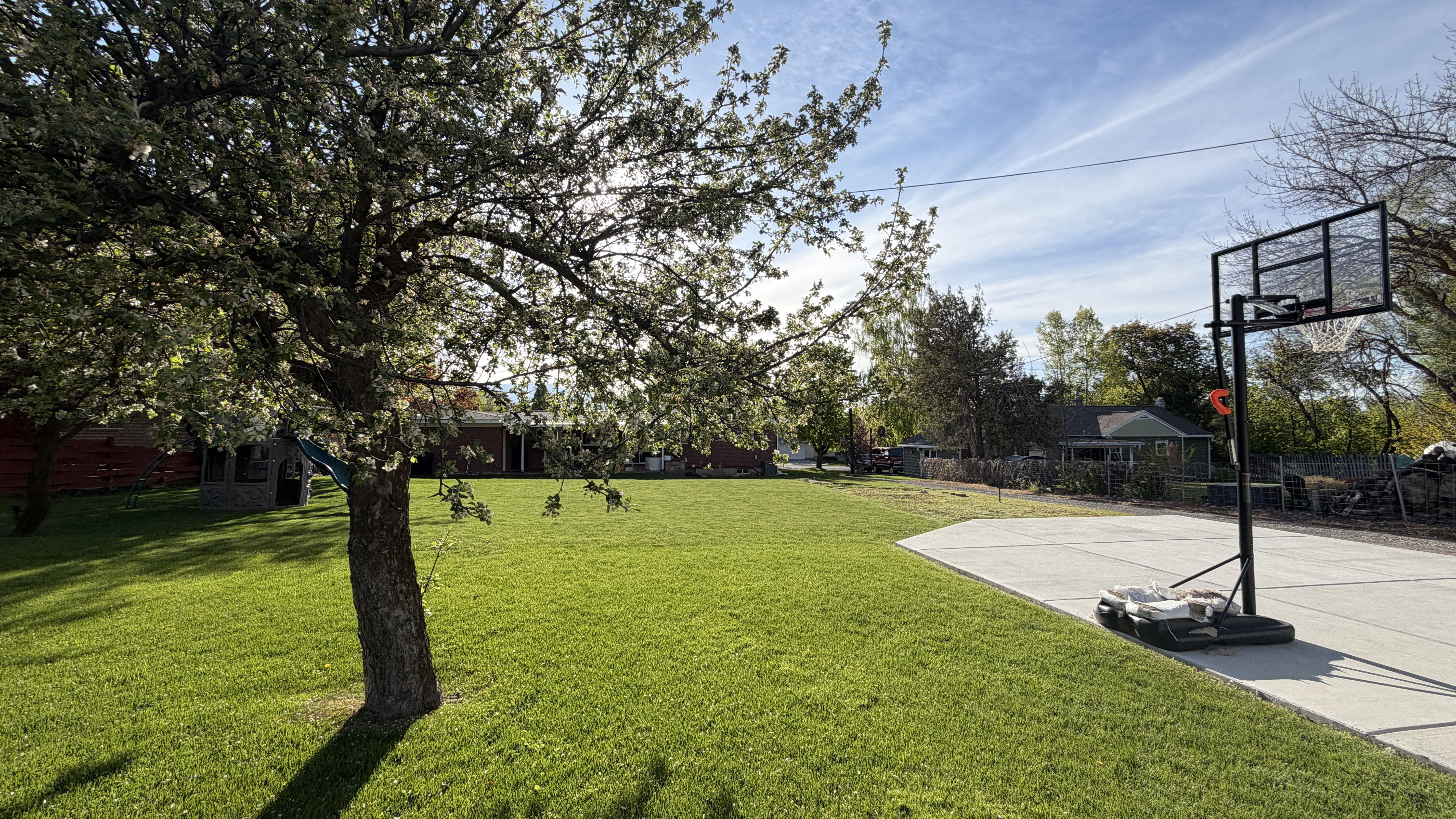 Backyard