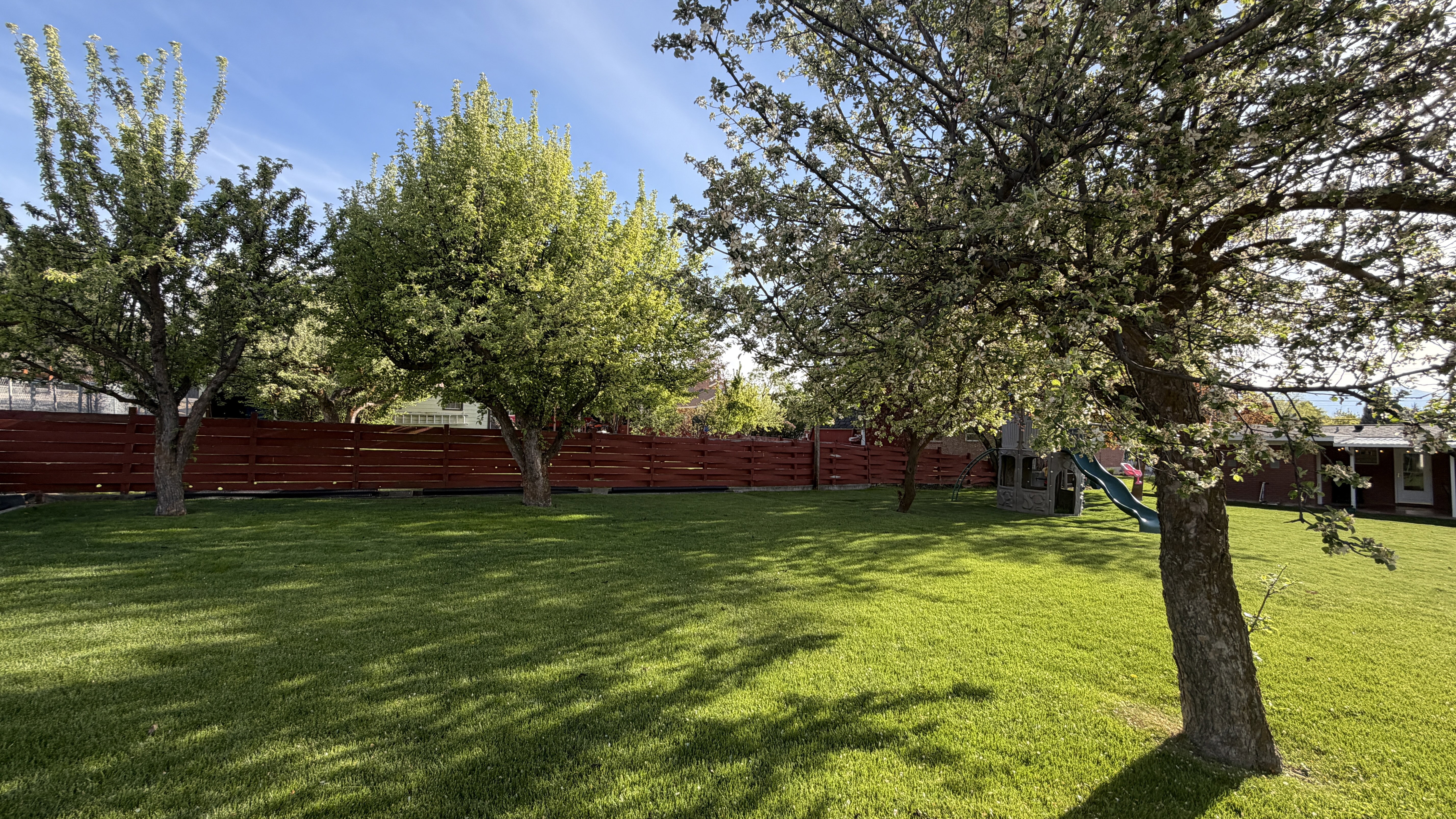 View of fenced backyard with fruit trees