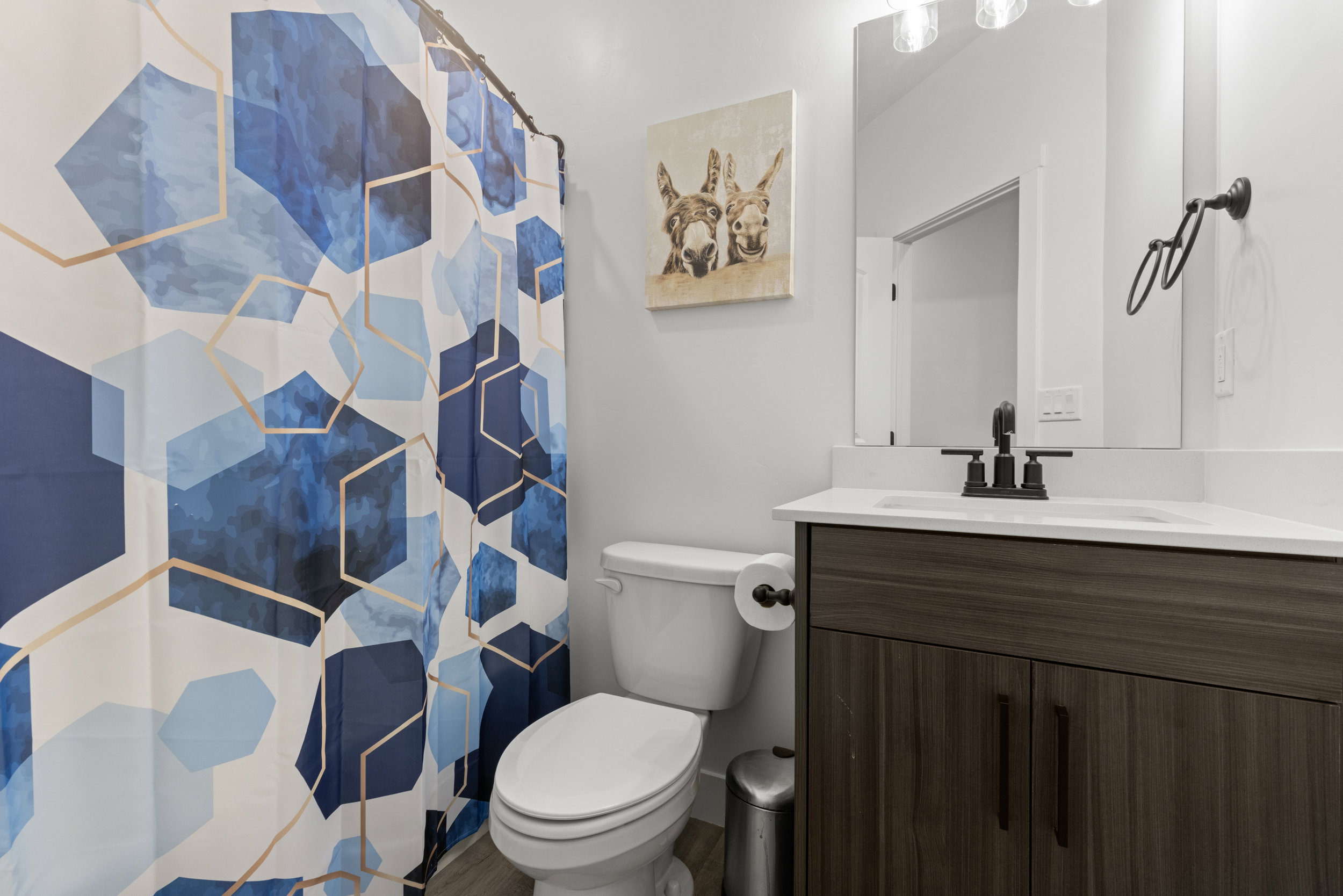 Bathroom featuring a shower with shower curtain and vanity