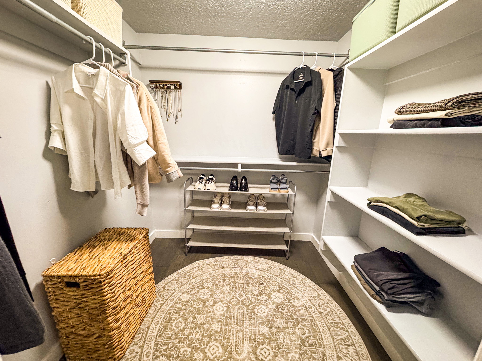 Walk in closet featuring dark wood-style floors