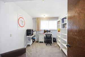 Office area with light carpet and a textured ceiling