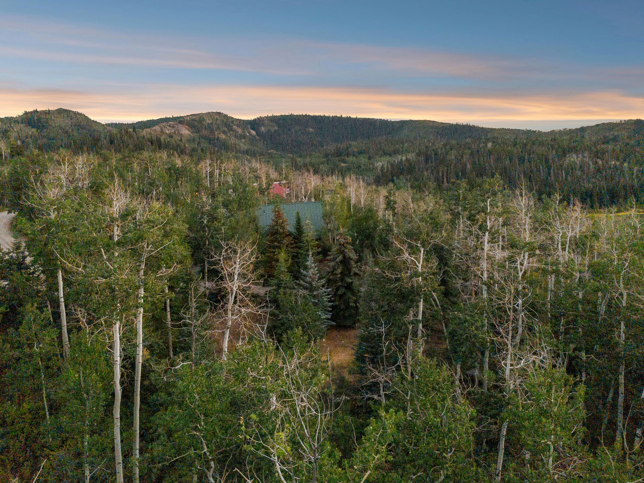 View of mountain backdrop with a forest