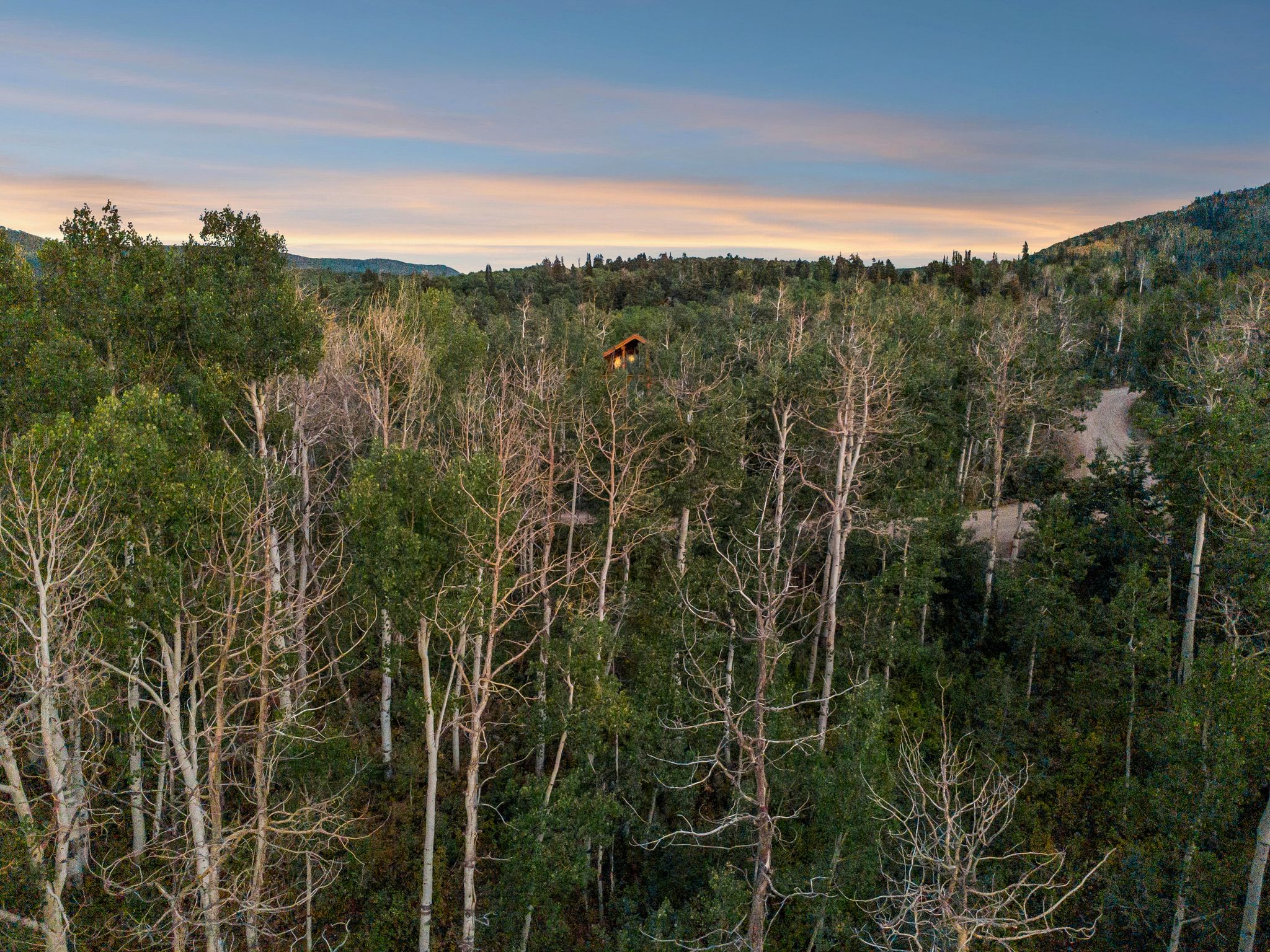 View of mountain backdrop with a forest