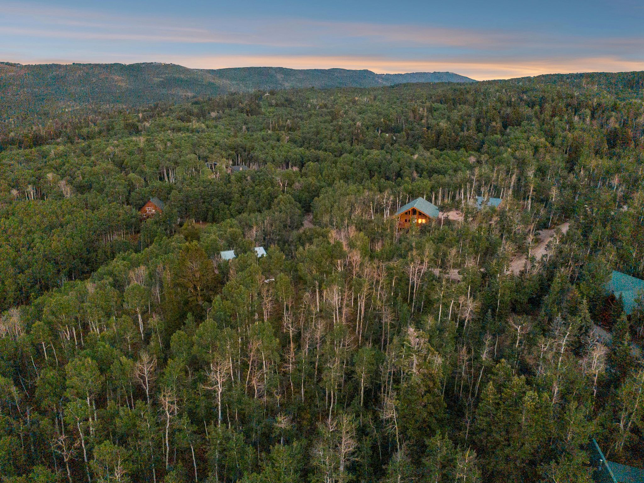 Drone / aerial view of a forest and mountains