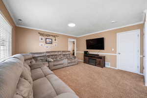 Living area featuring crown molding