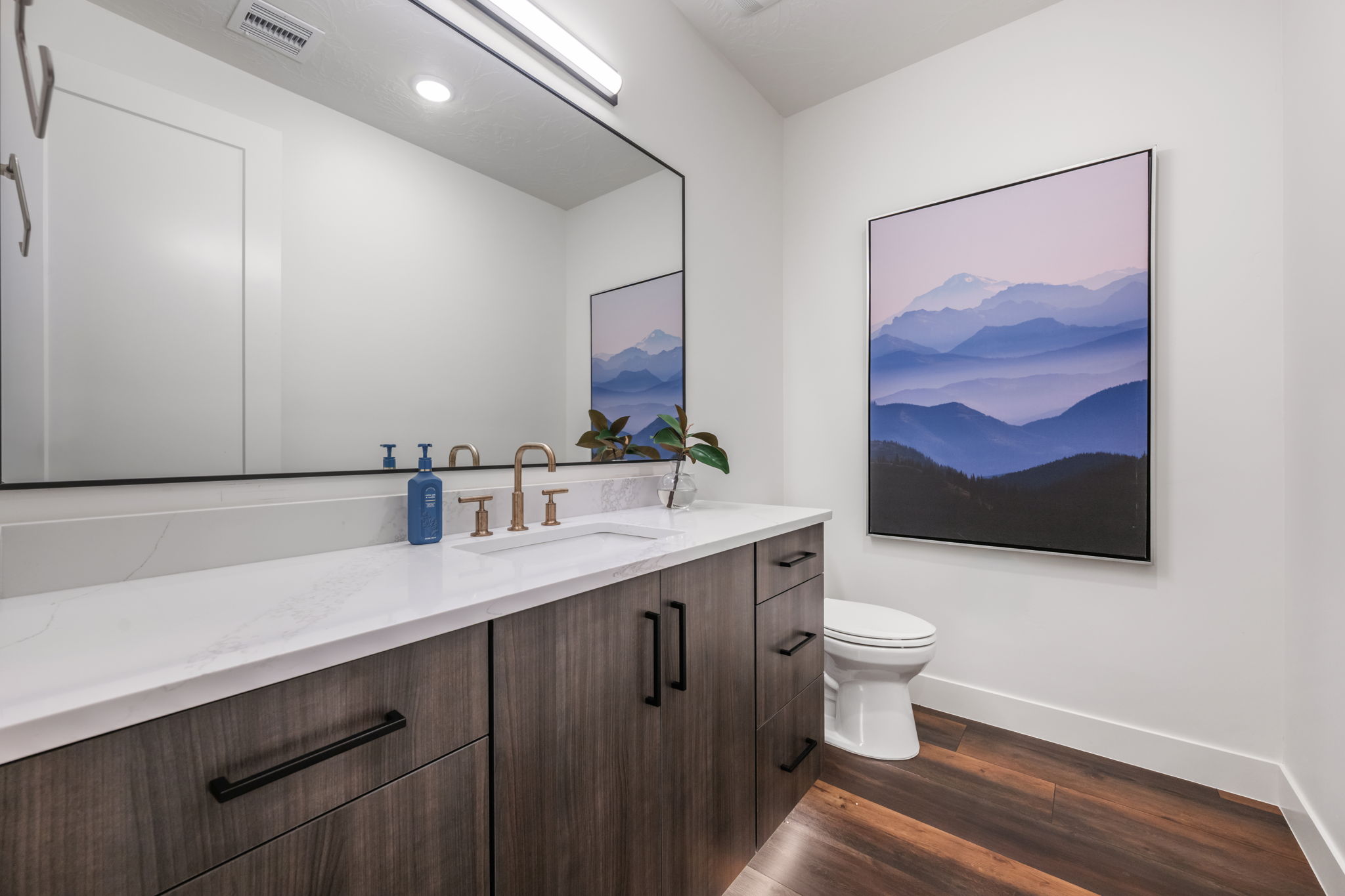 Bathroom featuring vanity, dark wood-style floors, and recessed lighting