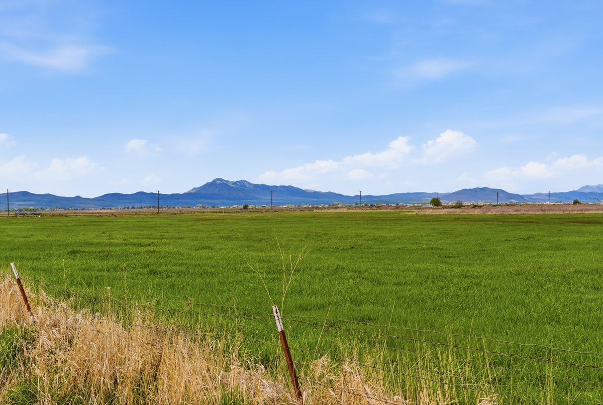 Mountain view featuring rural landscape and a pastoral area