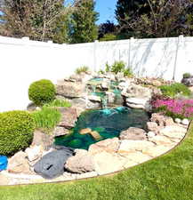 Beautiful Koi and turtle pond in fenced backyard