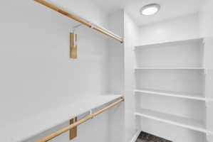 View of walk in closet