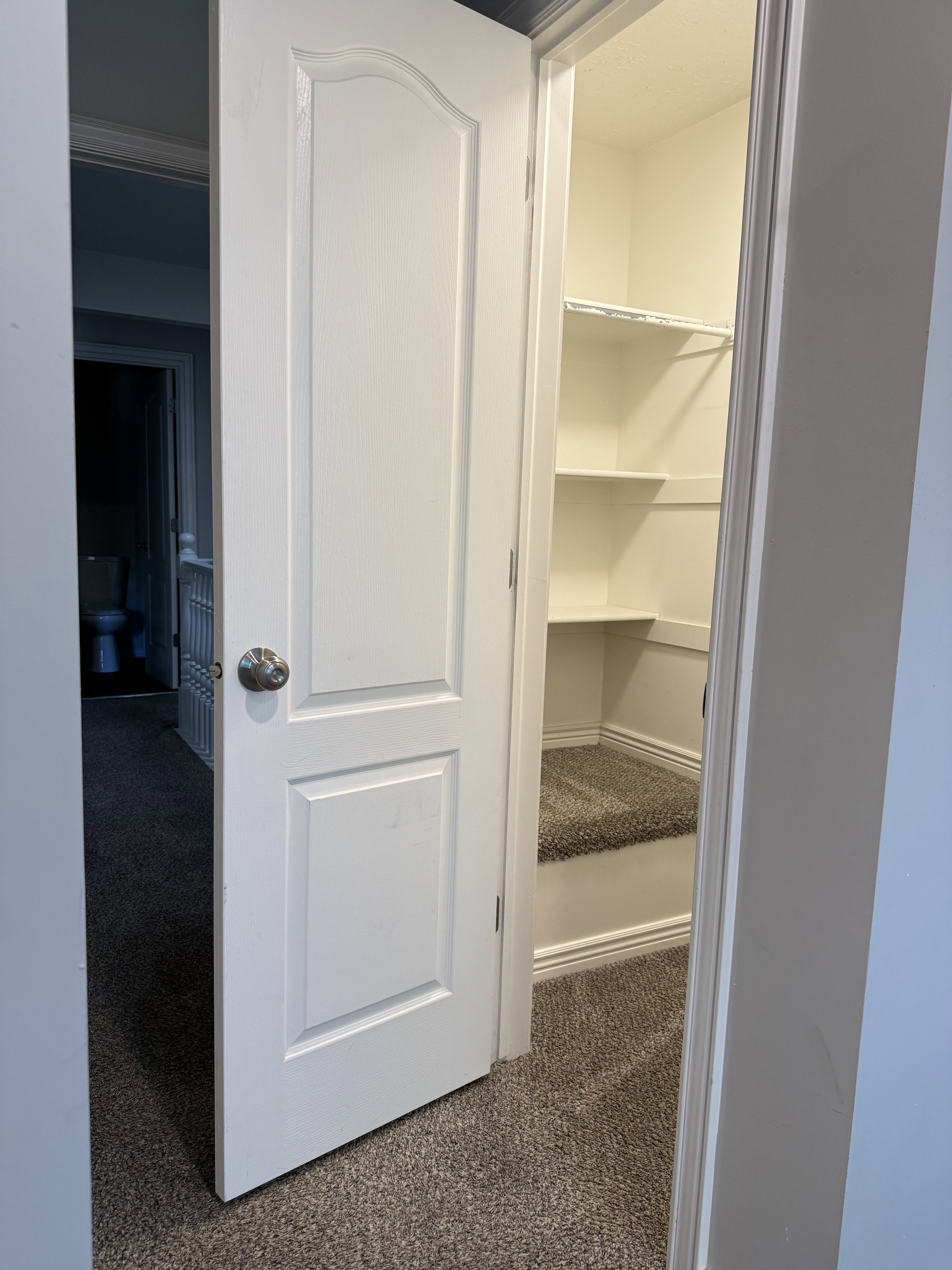 Recessed pantry with multiple shelving levels and durable carpet flooring