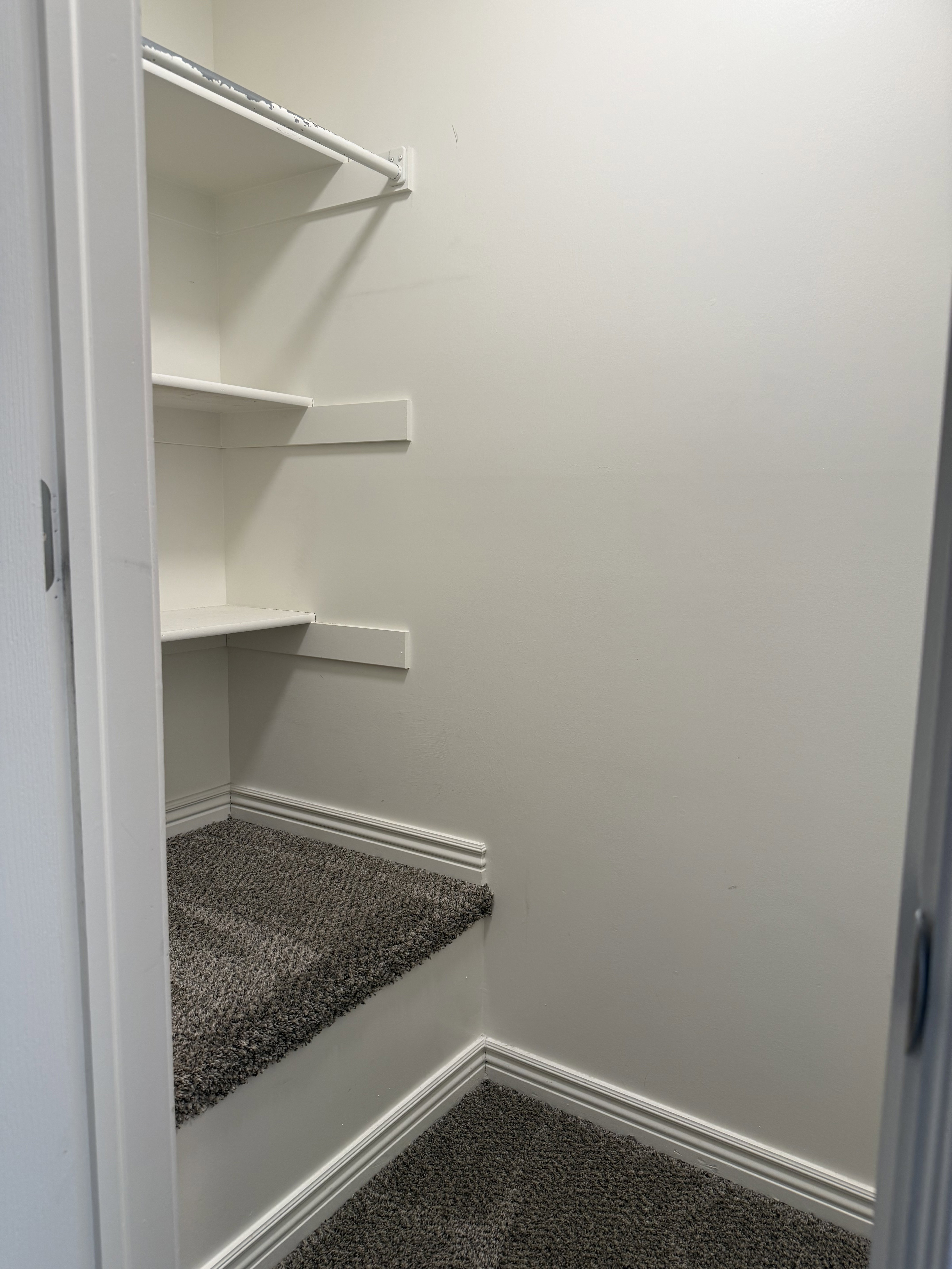 Under-stair storage area featuring white shelving, a hanging rod, and carpeted steps
