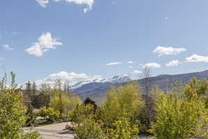 View of mountain background