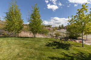 View of green lawn