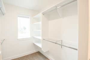 Primary Closet