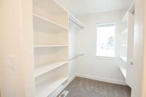 Primary Closet